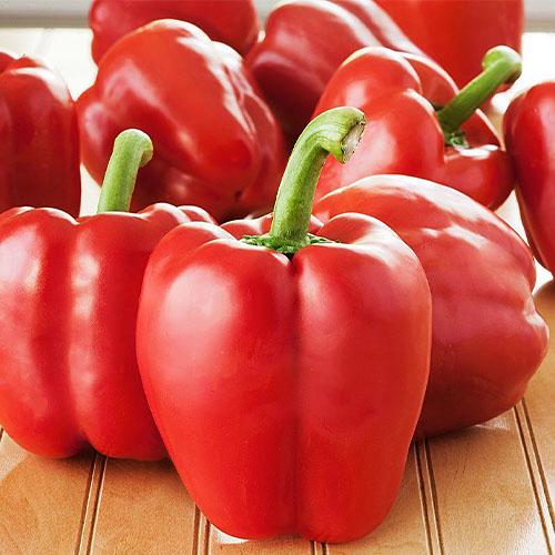 Семена Перець Florium Зірка сходу червона (17114)