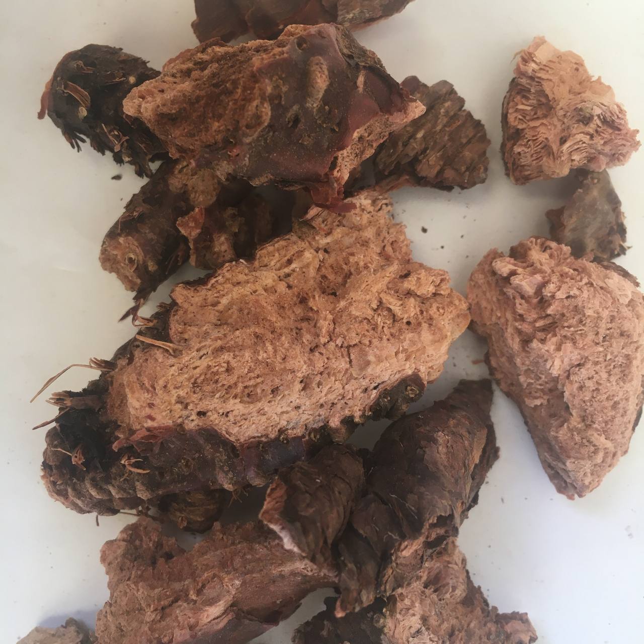 Золотой корень Родиола Карпаты 50 г (6284bc64dcadda69d3131f62) Золотой корень Родиола Карпаты 50 г (6284bc64dcadda69d3131f62)