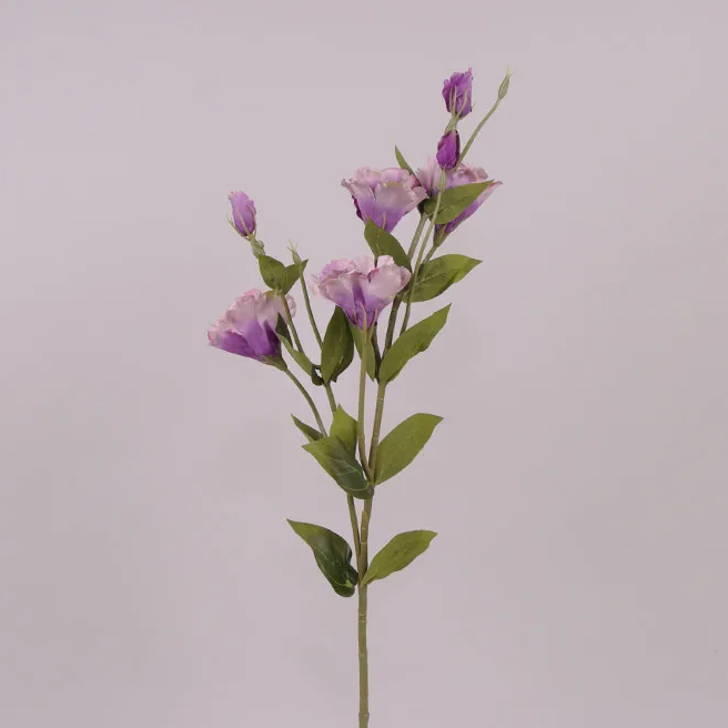 Цветок Эустома Flora Фиолетовый (70821)