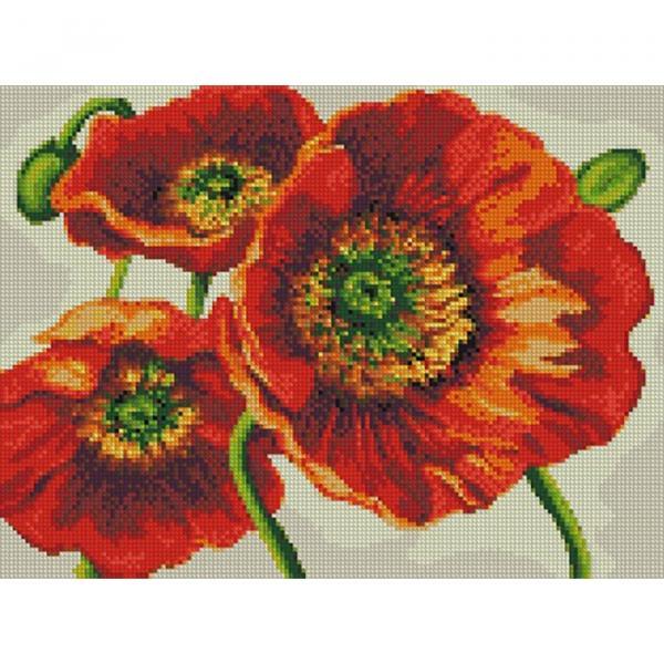 Алмазная мозаика Идейка Цветы Краски диких полей 30х40 см холст на подрамнике (АМ6080-mt)