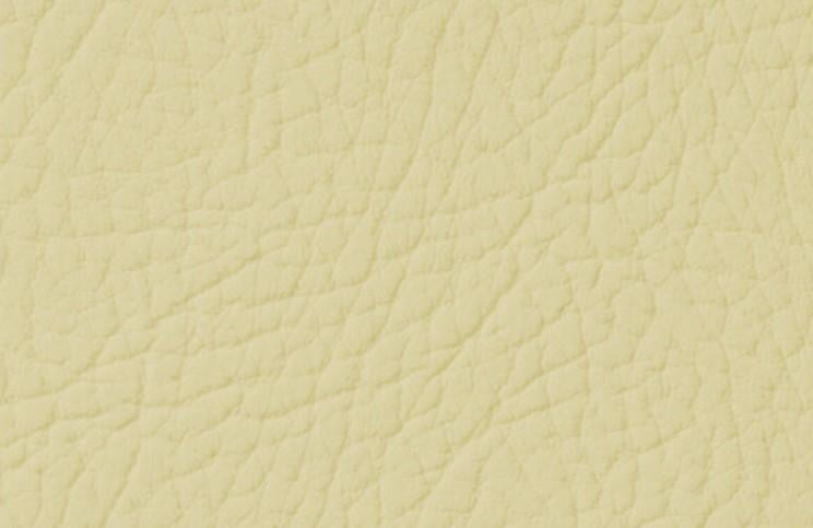 Эмаль для окрашивания кожи Leather Expert Colourant 100 г 107 Sesame Cream