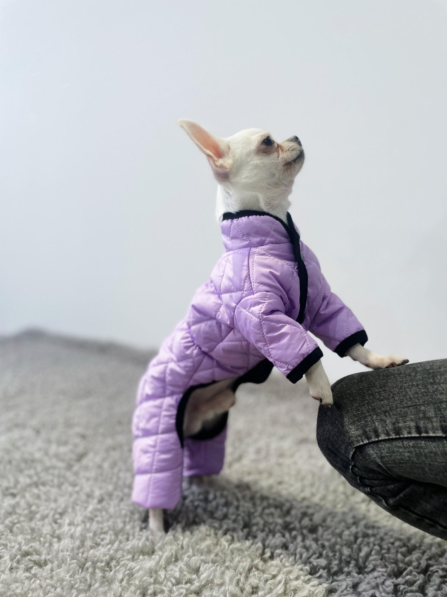 Комбинезон для собак двухсторонний AS-10 стеганный р. 8 Лавандовый (72162025)