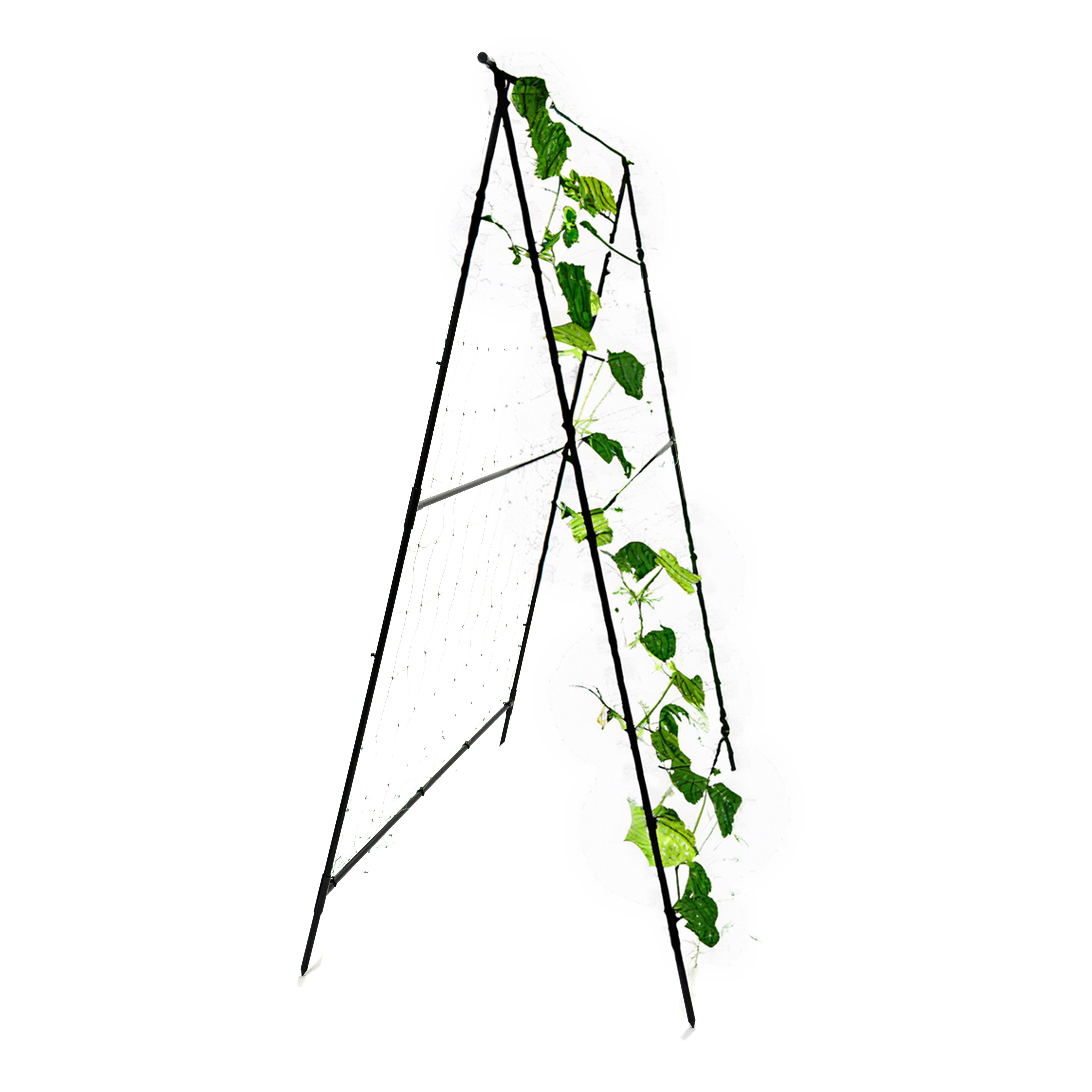 Шпалера для огірків Chipo Lina X3 подвійна А-подібна з сіткою 2 м (ChipolinaX3) Шпалера для огірків Chipo Lina X3 подвійна А-подібна з сіткою 2 м (ChipolinaX3)