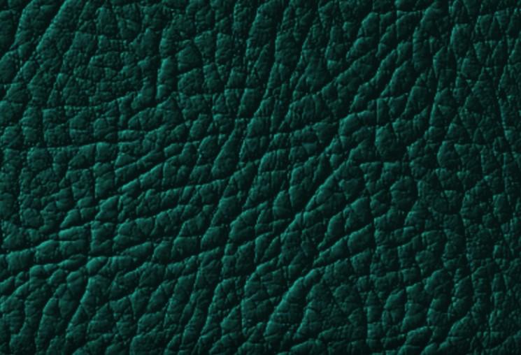 Эмаль для окрашивания кожи Leather Expert Colourant 100 г 603 Forest Green Эмаль для окрашивания кожи Leather Expert Colourant 100 г 603 Forest Green