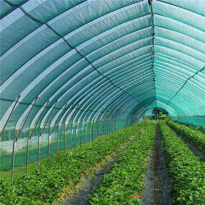 Сітка затіняюча Agreen в пакеті 80% 70 г/м² 6х5 м (A8795) - фото 2