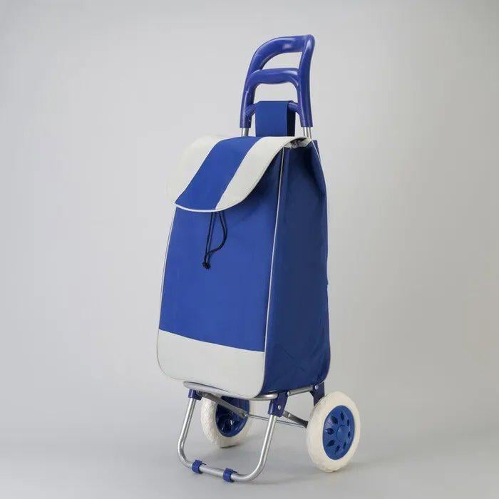Господарська тачка з сумкою/пластмасовими колесами та ручкою до 55 кг Синій (27138751)