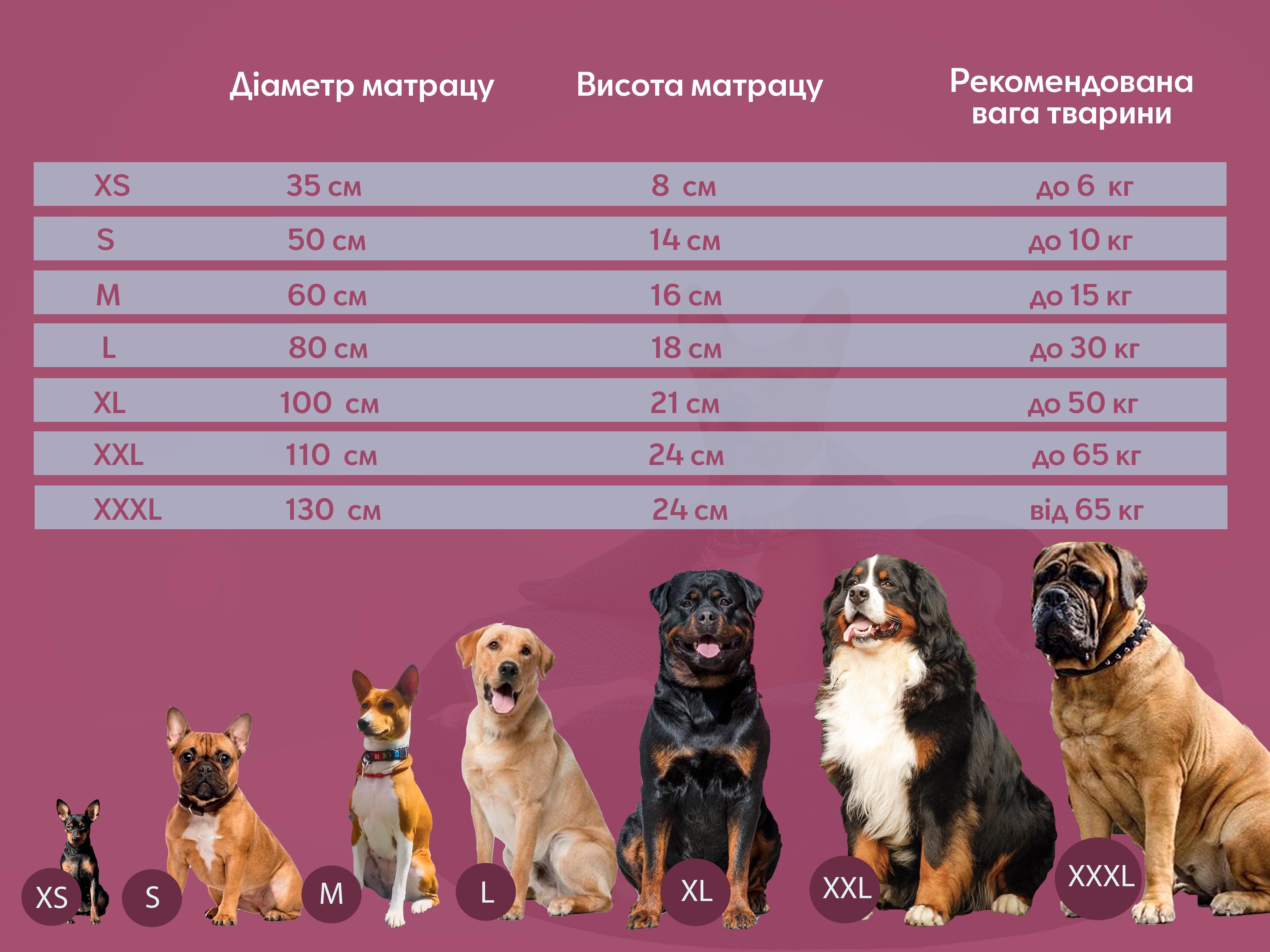 Лежак для тварин з ортопедичним матрацом та ковдрою 60 см Темно-синій/Блакитний (18025293) - фото 11