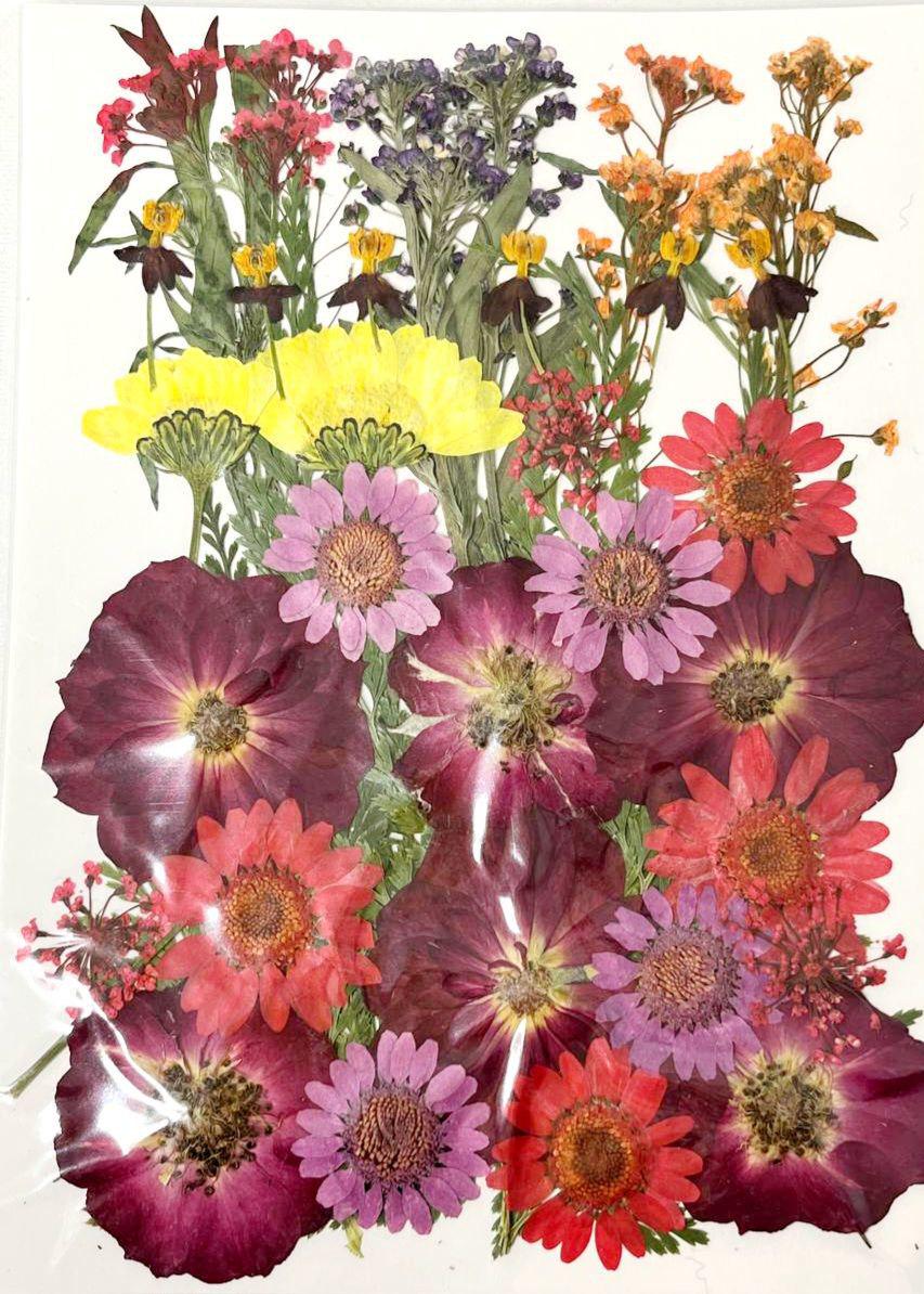 Сухоцвет набор №6 для творчества для ювелирных изделий из эпоксидной смолы 40 шт. (С-032/6)