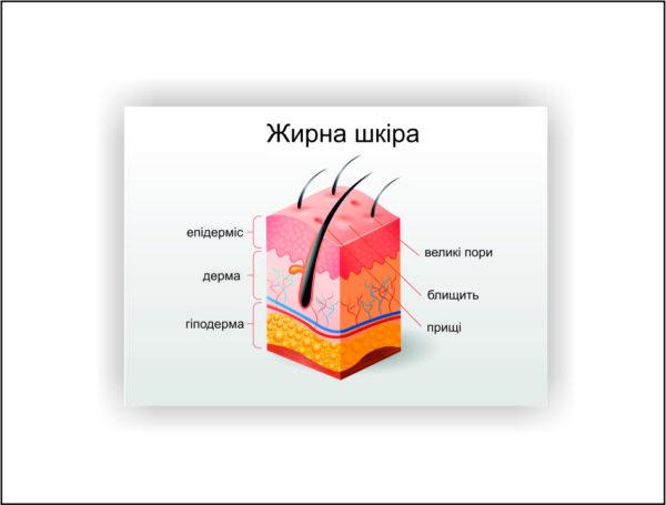 Плакат Vivay Жирная кожа 60х40 см (25627470)