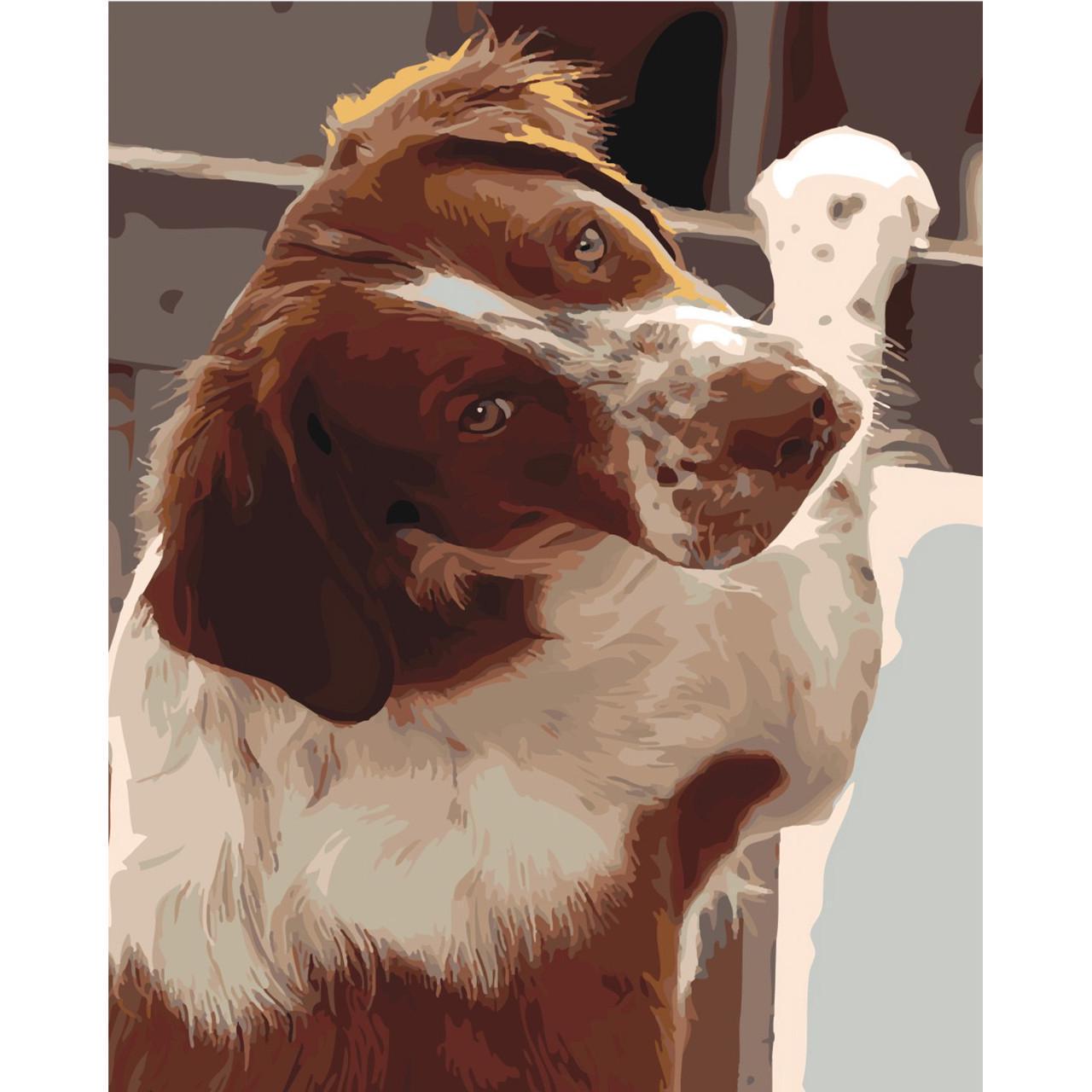 Картина по номерам Strateg Премиум Преданный взгляд с лаком 40х50 см (SY6444)