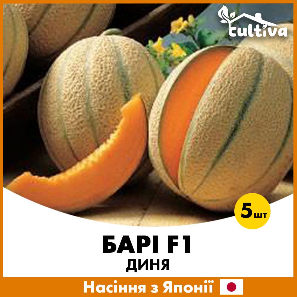 Семена дыни Sakata Бари F1 5 шт. (R51053)