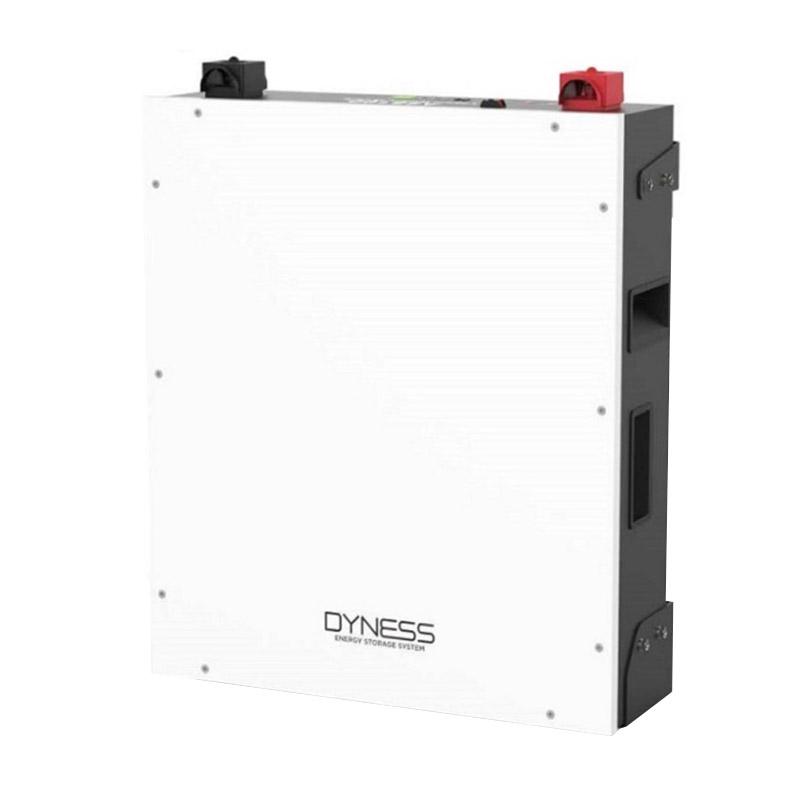 Аккумуляторная батарея Dyness A48100 (0025) - фото 6 Аккумуляторная батарея Dyness A48100 (0025) - фото 6