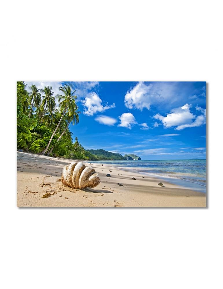 Картина модульная Пальмы большая ракушка на пляже 1 модуль 80x120 см
