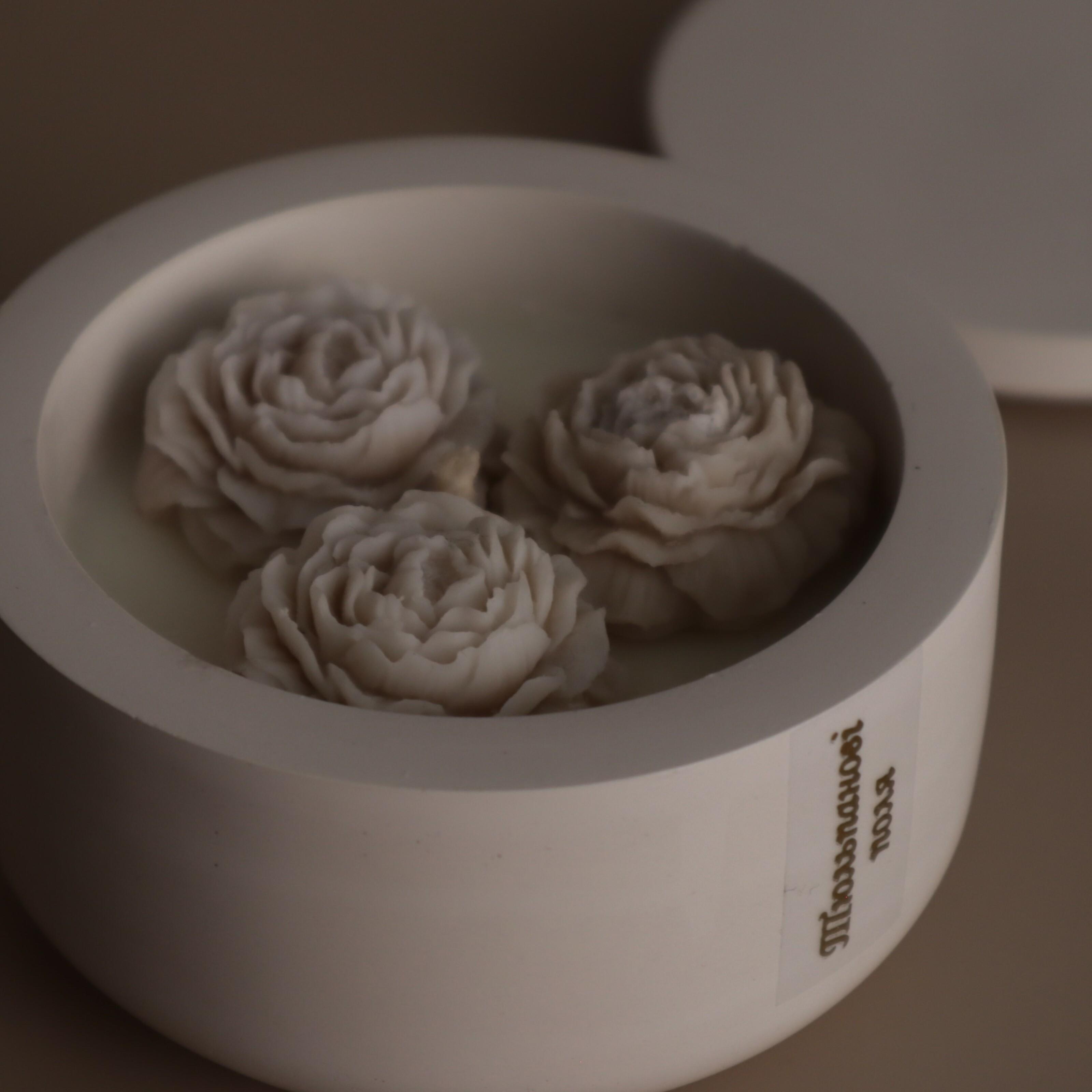 Аромасвічка соєва Wax Harmony Ваніль у гіпсовому кашпо з бежевими півоніями 100 г Білий (1000592) Аромасвічка соєва Wax Harmony Ваніль у гіпсовому кашпо з бежевими півоніями 100 г Білий (1000592)