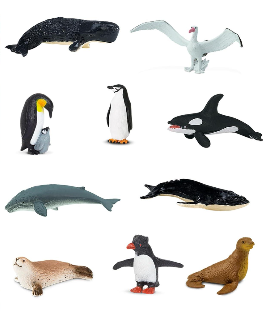 Набір фігурок Safari Ltd Мешканці Антарктики в тубусі (23191713)