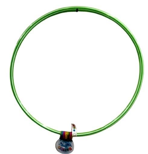 Обруч гімнастичний Bamsic Зебра 68 см Зелений (0173)