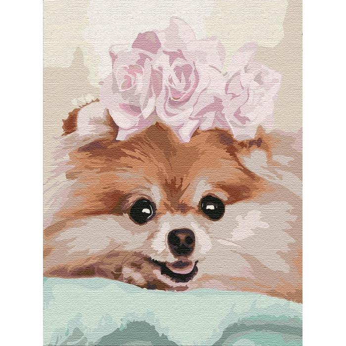 Картина по номерам Идейка Любимица 30х40 см (KHO4183)