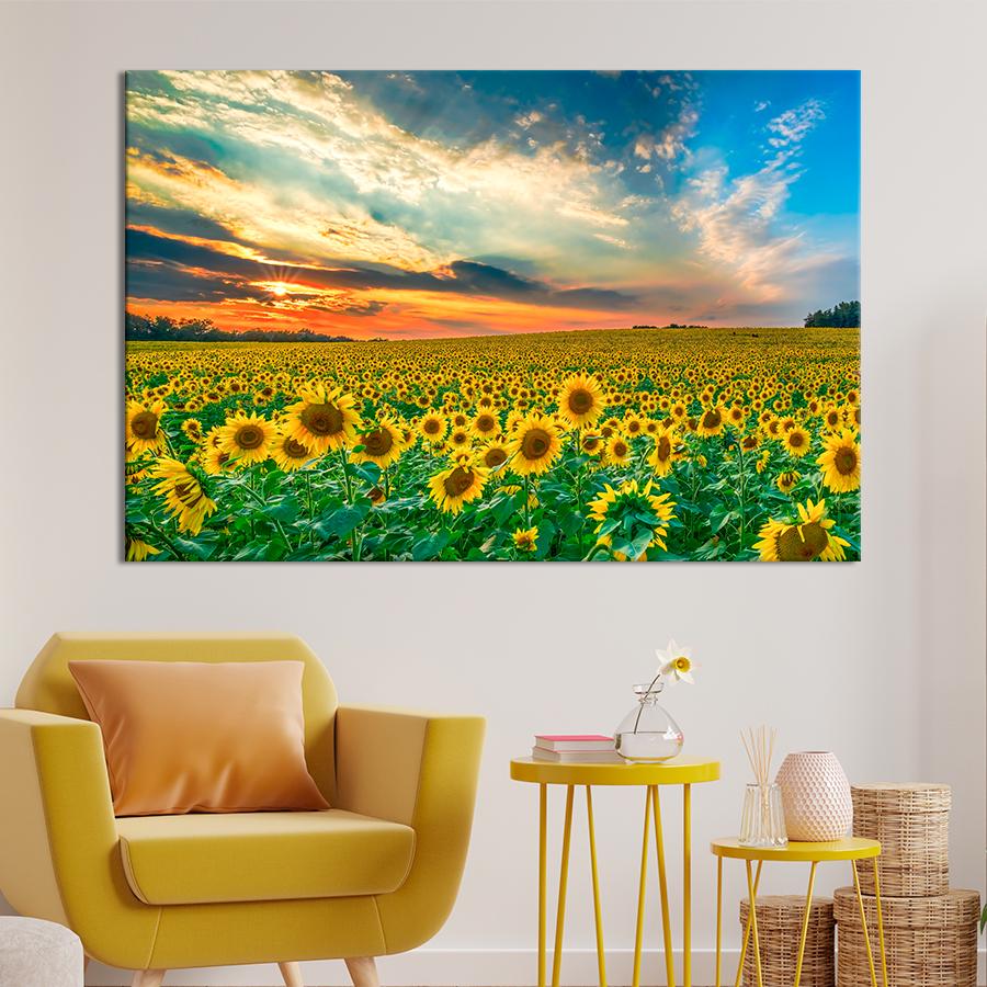 Картина природа Захід сонця над полем соняшників 80x54 см (A1107-1)
