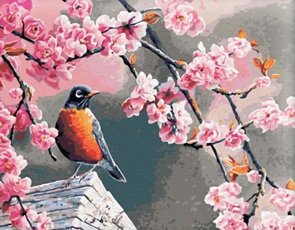 Картина по номерам Brushme Снегирь и сакура 40x50 см (G041)
