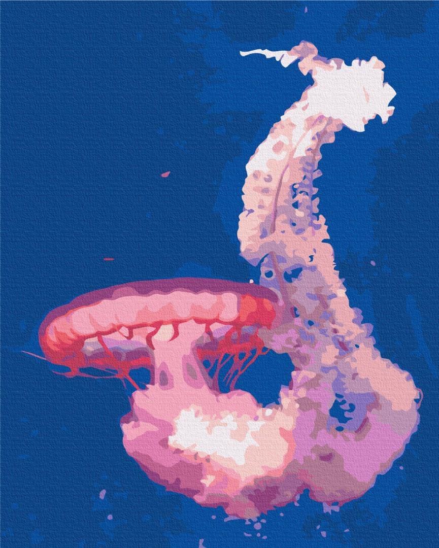 Картина по номерам Brushme Медуза в полете 48x60 см (BS52746L)