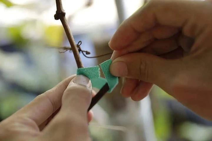 Стрічоки-липучки садові для підв'язки рослин 2 шт. по 5 м Зелений (Е050838-2) - фото 3