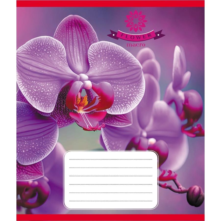 Шкільний зошит Орхідея 036-570137K-3 в клітинку 36 аркушів (RLT55334)