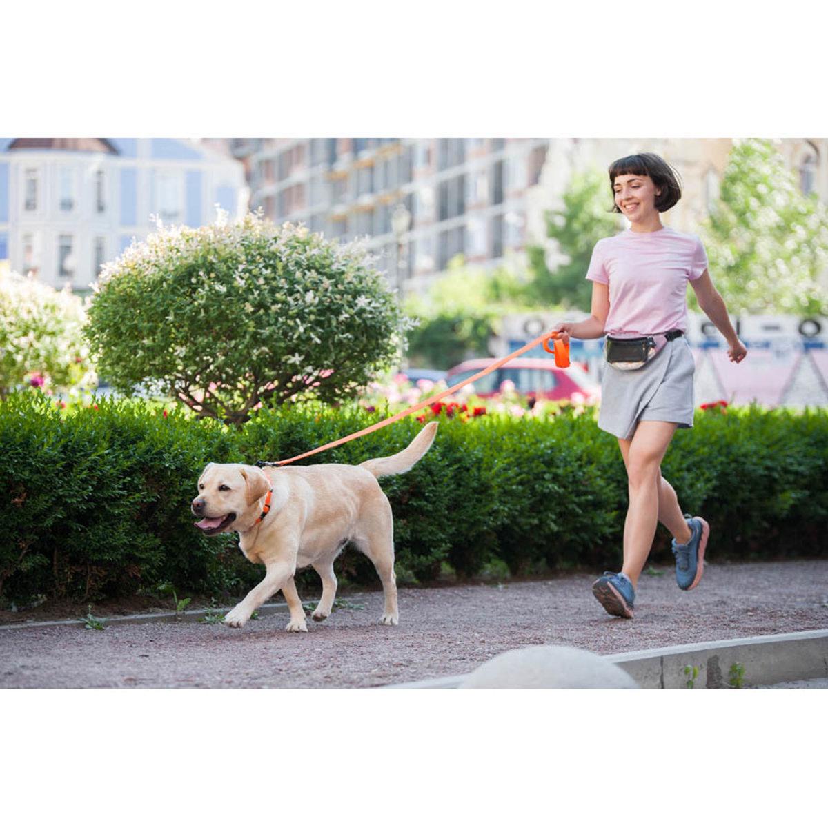 Поводок Evolutor 25 мм х 210 см Оранжевый (42124 Col) - фото 8 Поводок Evolutor 25 мм х 210 см Оранжевый (42124 Col) - фото 8