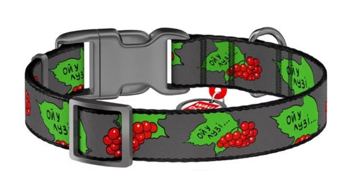 Ошейник для собак Waudog Nylon Калина c QR-паспортом нейлоновый L 25 мм х 31-49 см Разноцветный (4503-0228)