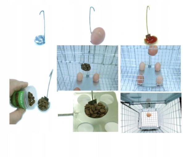 Ловушка против животных Techrol 82x17х20 см (S.82.17.20.2) - фото 7 Ловушка против животных Techrol 82x17х20 см (S.82.17.20.2) - фото 7