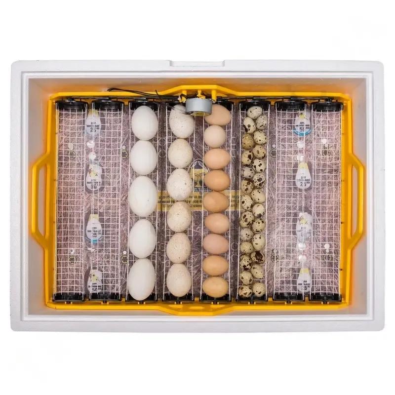 Інкубатор автоматичний Теплуша Люкс 72 ІБ 12/50 ТАВ інверторний (1289) - фото 2