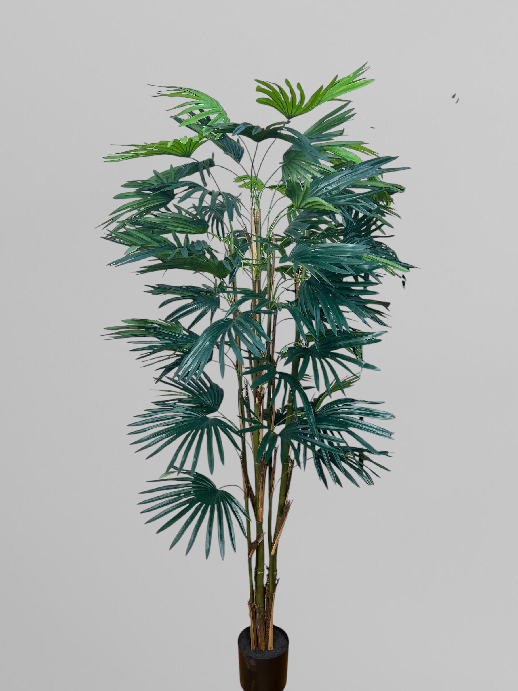 Искусственная веерная пальма 180 см Зеленый (Д13017)