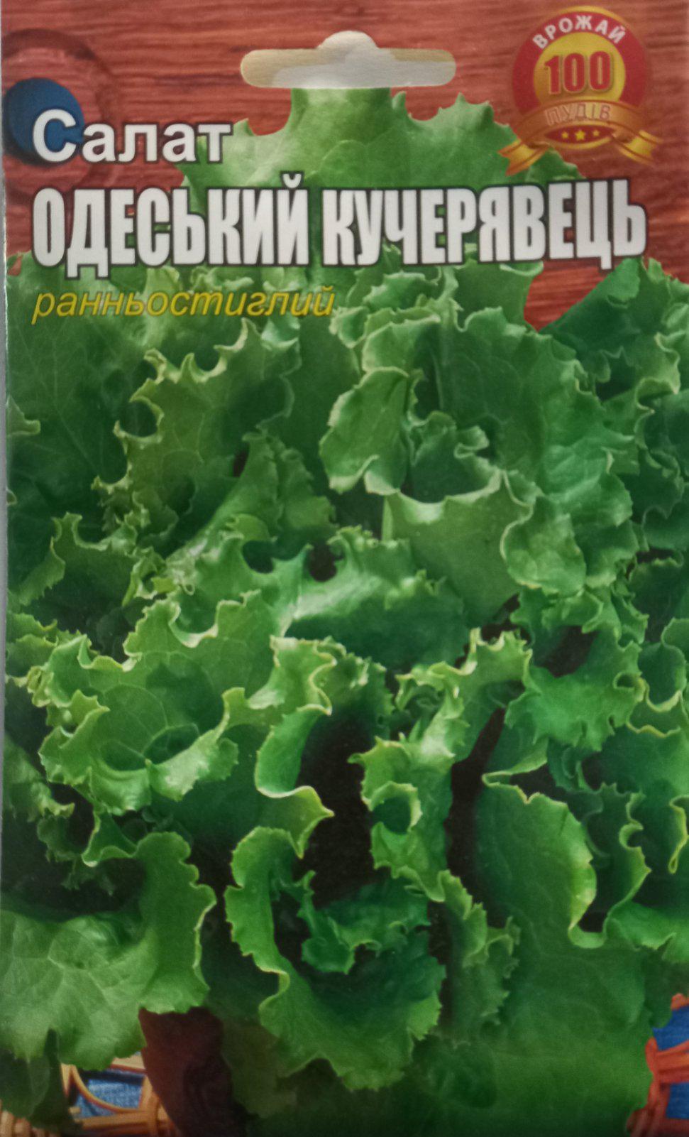 Салат Одесский кудрявый 5 г (286) Салат Одесский кудрявый 5 г (286)