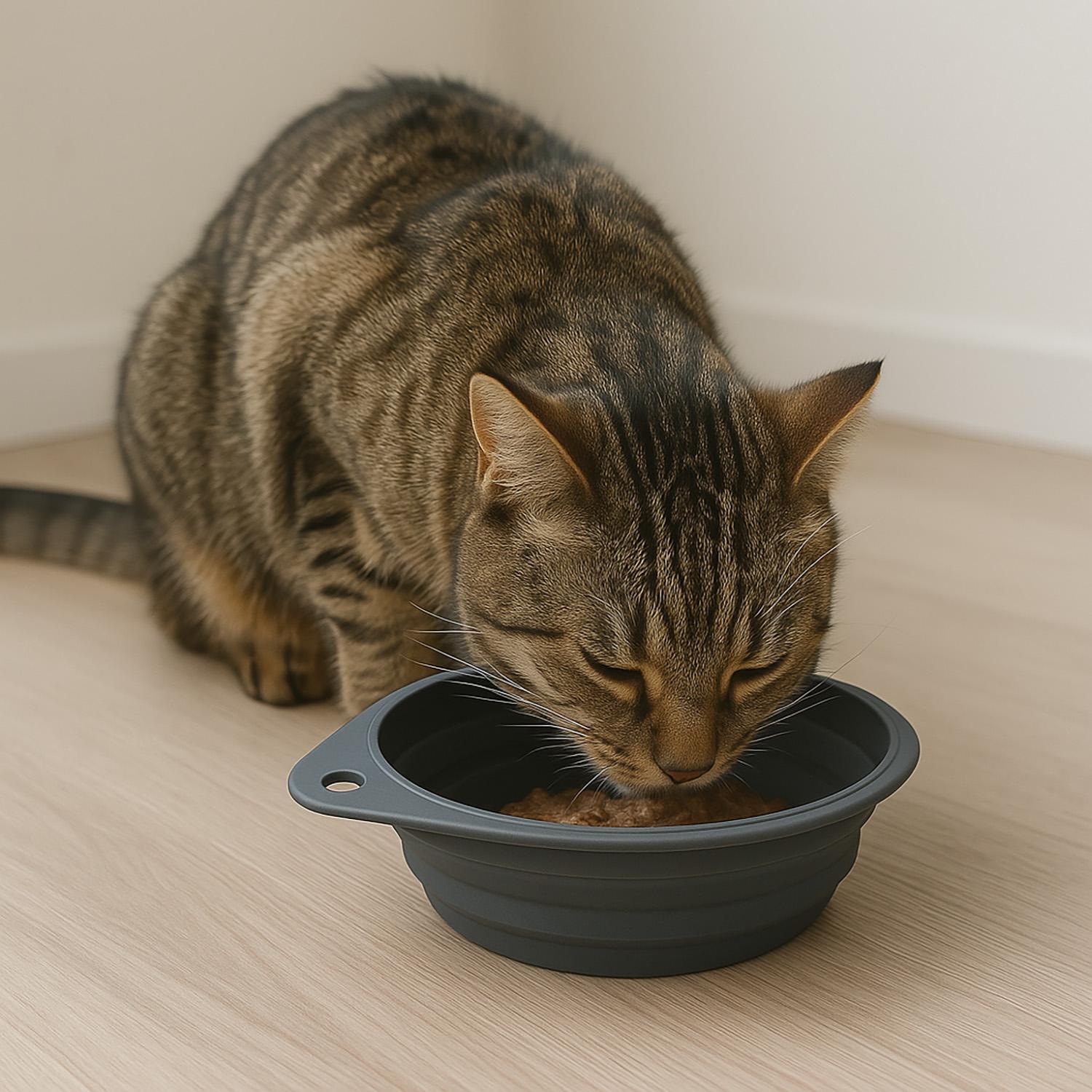 Миска для котів та собак складна силіконова Сірий (87157) - фото 3