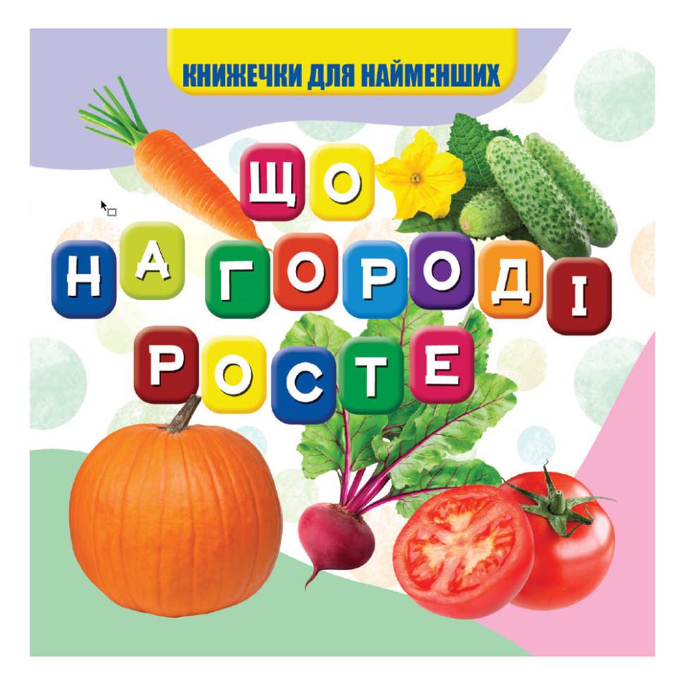 Моя перша книжечка "Що росте на городі" 10 стор. (VR06041705) Моя перша книжечка "Що росте на городі" 10 стор. (VR06041705)