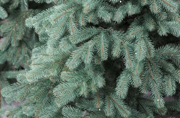 Штучна ялинка Бельгійська лита з металевою підставкою 1,50 м Блакитний (NYT15122) - фото 6