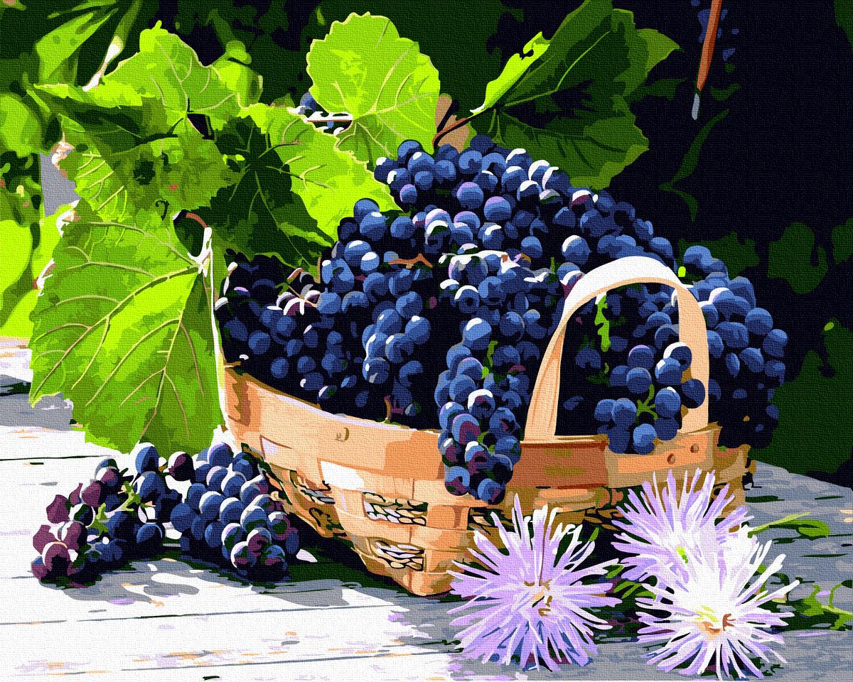 Картина по номерам Brushme Корзина спелого винограда 40х50 см (GX23736)