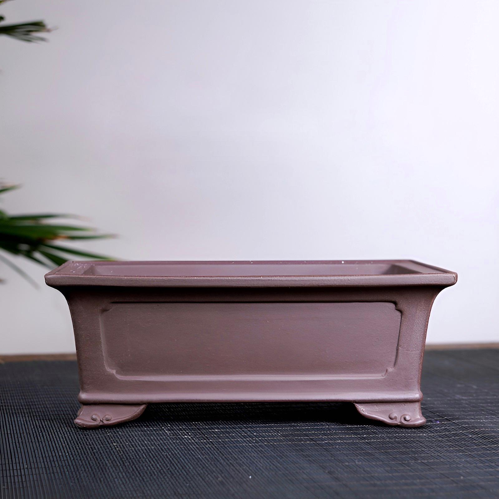 Бонсайниця прямокутна на ніжках