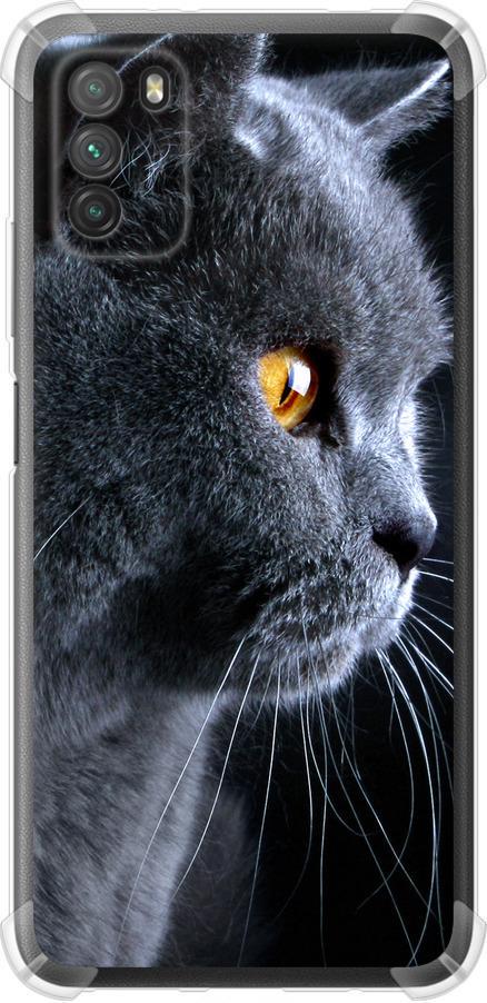 Чехол на Xiaomi Poco M3 Красивый кот (3038sp-2200-42517)