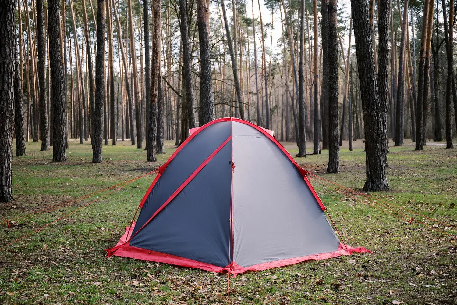 Палатка Tramp ROCK 3 V2 (TRT-028) - фото 4 Палатка Tramp ROCK 3 V2 (TRT-028) - фото 4