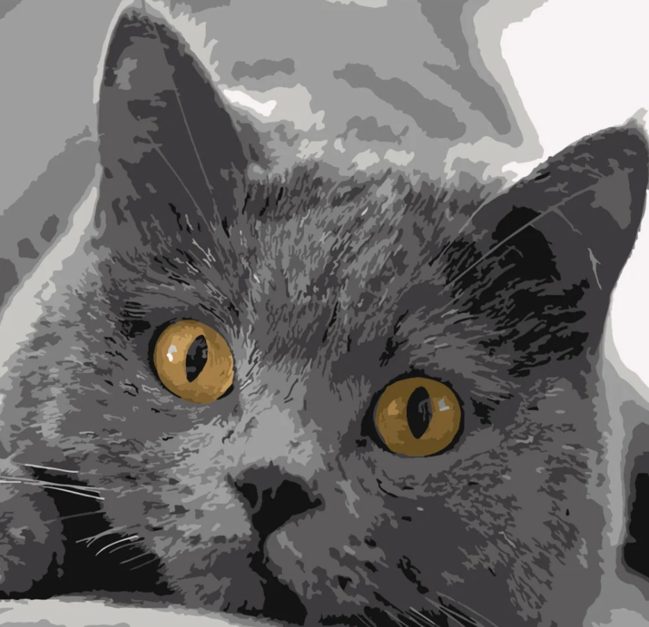 Картина по номерам Strateg Серый котик 40х40 см (SK016)