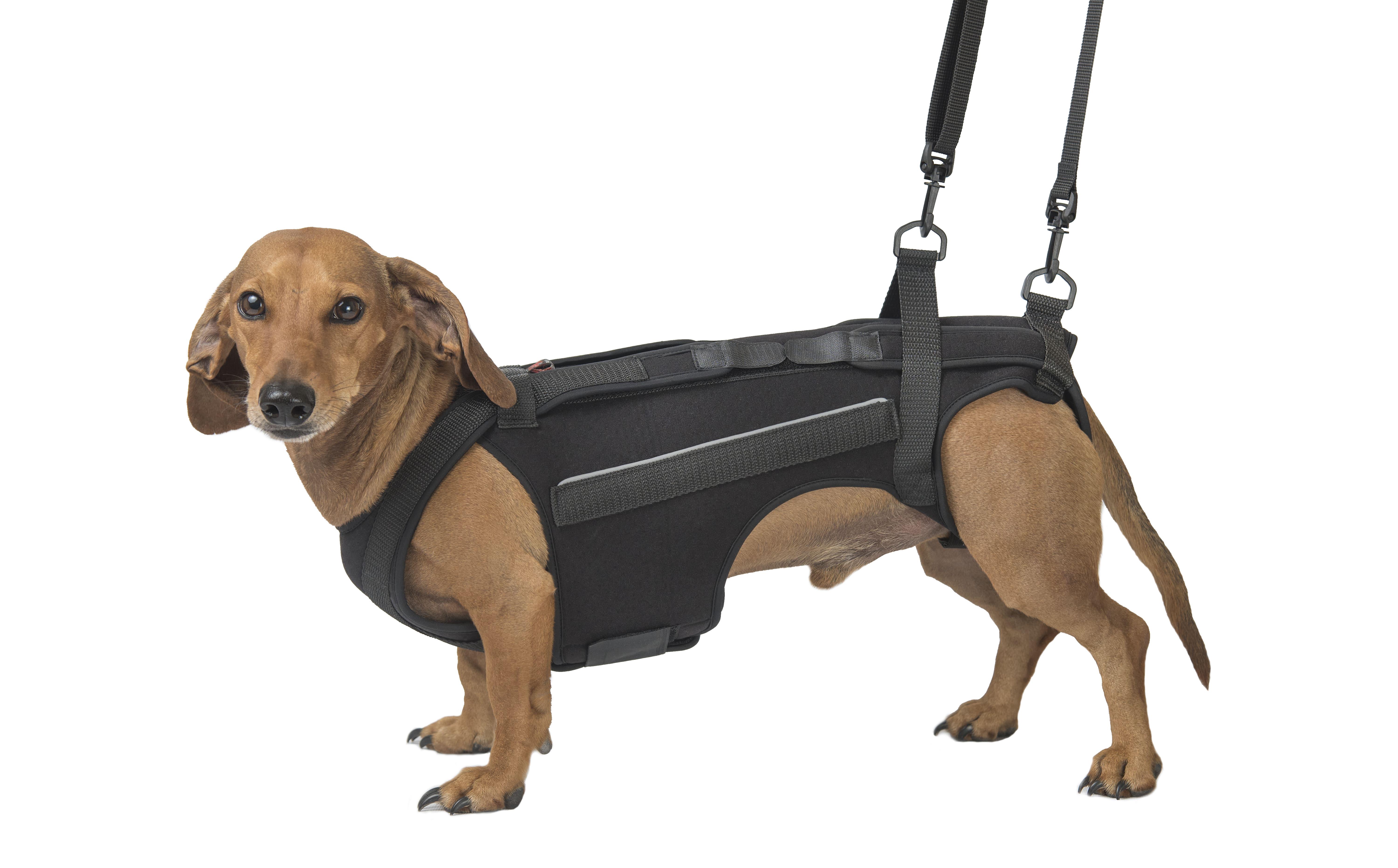 Корсет Frakishtak для позвоночника XS Черный (28283509) - фото 4 Корсет Frakishtak для позвоночника XS Черный (28283509) - фото 4