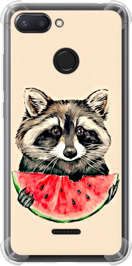 Чехол на Xiaomi Redmi 6 Енотик с арбузом (4605sp-1521-42517)