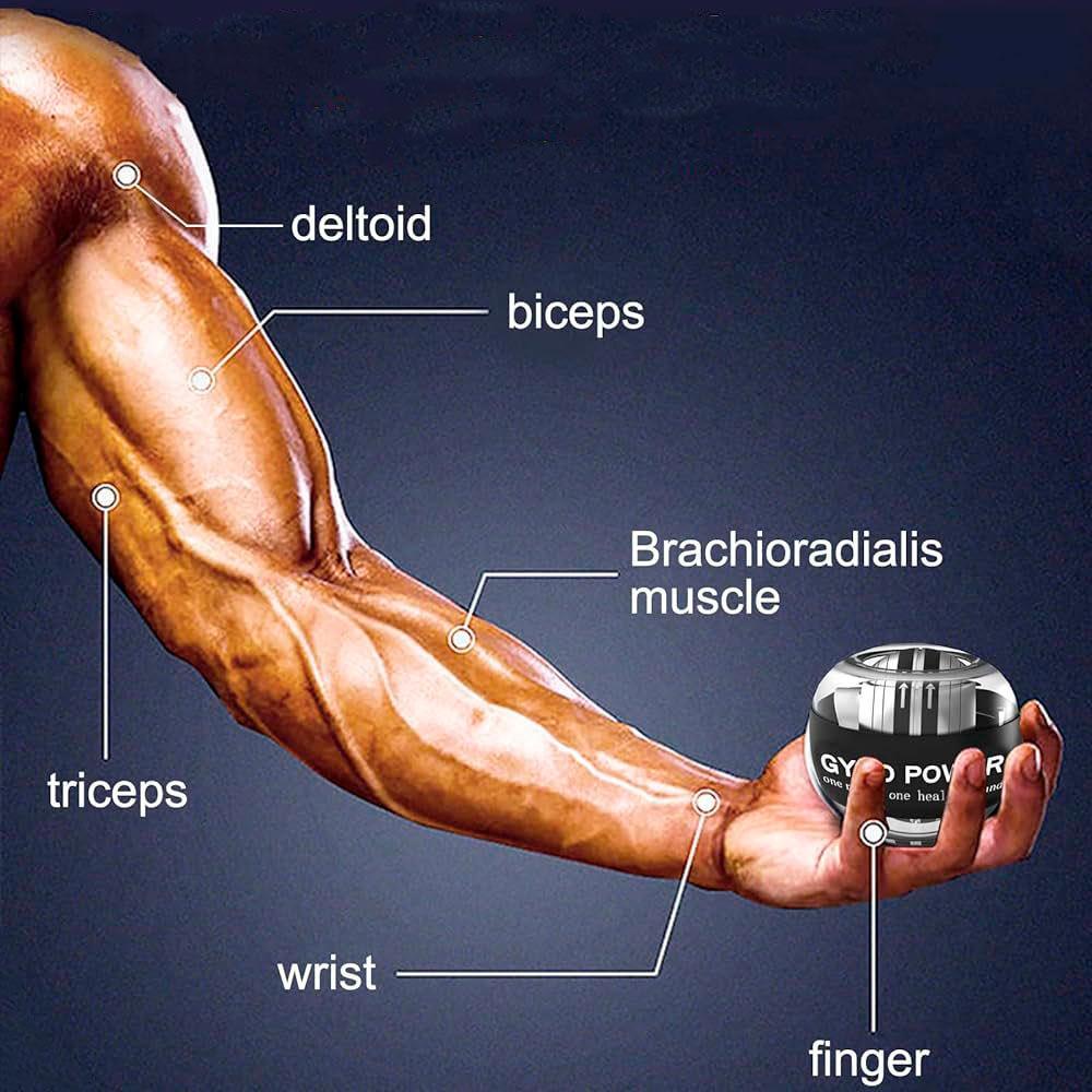 Тренажер гироскопический для кистей рук GYRO BALL (2139717018) - фото 3 Тренажер гироскопический для кистей рук GYRO BALL (2139717018) - фото 3
