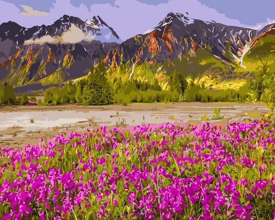Картина по номерам Вересковое море 40x50 см (BRM3346)