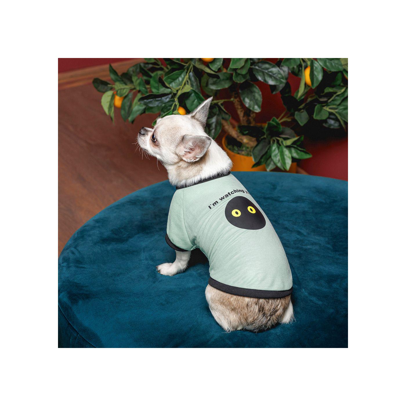 Футболка для собак малих порід Pet Fashion Oscar XS2 Блакитний (PR441372) - фото 3 Футболка для собак малих порід Pet Fashion Oscar XS2 Блакитний (PR441372) - фото 3