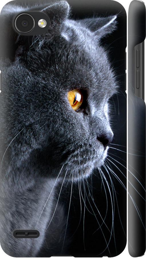 Чохол на LG Q6 Гарний кіт (3038c-1094-42517)
