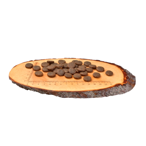 Корм сухой Carnilove Salmon & Turkey для взрослых собак больших пород лосось и индейка 12 кг - фото 6 Корм сухой Carnilove Salmon & Turkey для взрослых собак больших пород лосось и индейка 12 кг - фото 6