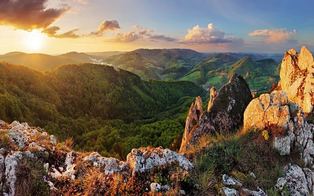 Картина на холсте Природа 55х85 см (N464)