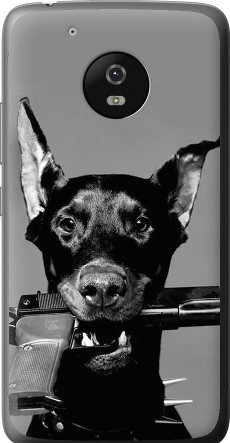 Чохол на Motorola Moto G5 Доберман (2745u-832-42517)