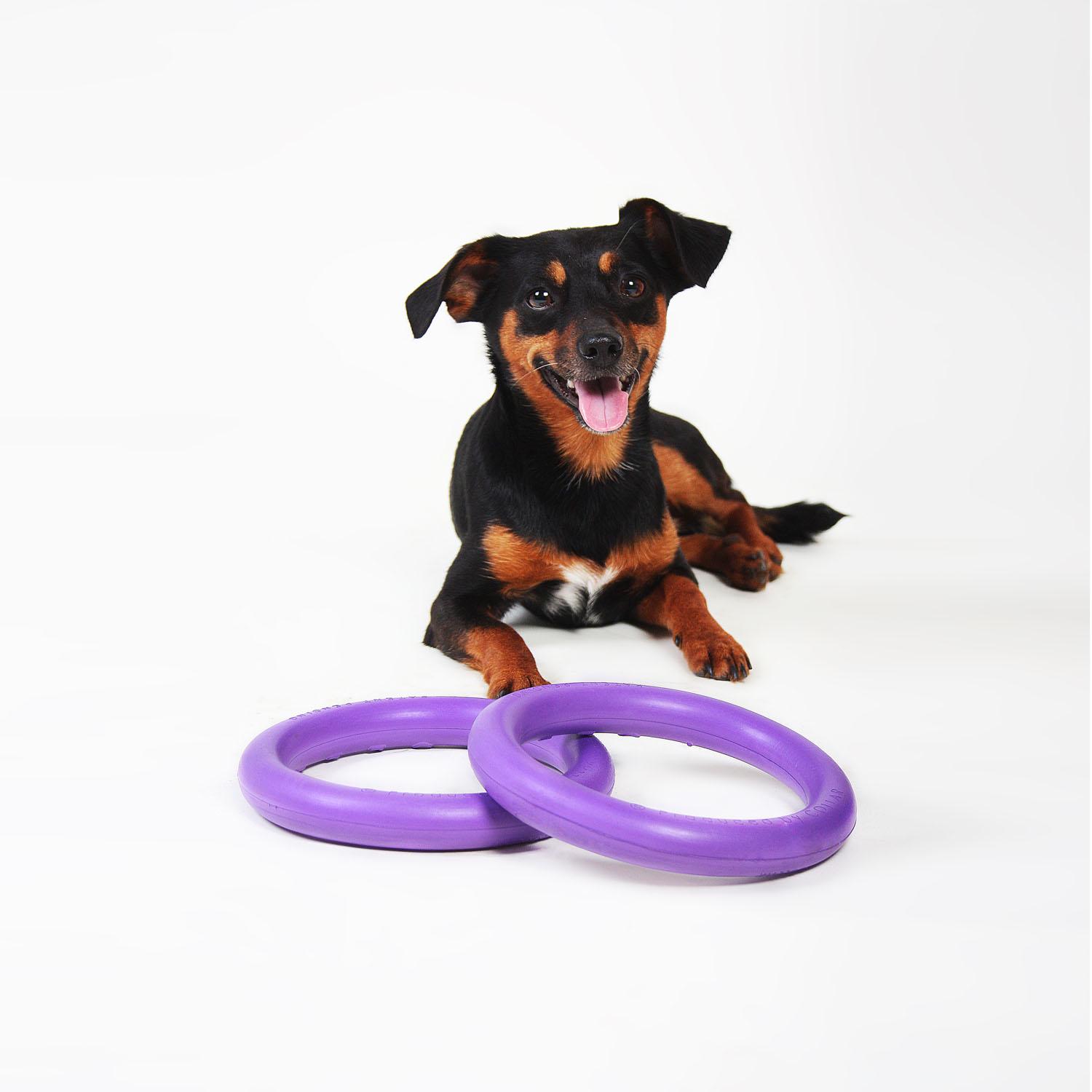 Тренувальний снаряд для собак Puller Mini 18 см (6491) - фото 3 Тренувальний снаряд для собак Puller Mini 18 см (6491) - фото 3